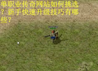 单职业传奇网站如何挑选？新手快速升级技巧有哪些？