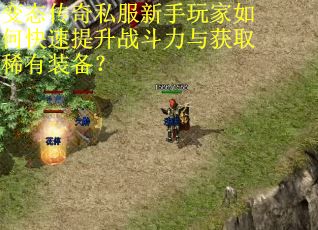 变态传奇私服新手玩家如何快速提升战斗力与获取稀有装备？