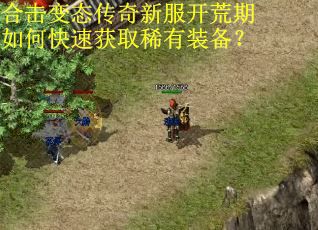 合击变态传奇新服开荒期如何快速获取稀有装备？