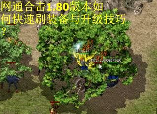 网通合击1.80版本如何快速刷装备与升级技巧？