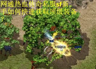 网通热血传奇私服sf新手如何快速获取顶级装备？