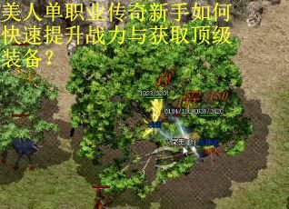 美人单职业传奇新手如何快速提升战力与获取顶级装备？