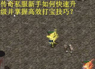 传奇私服新手如何快速升级并掌握高效打宝技巧？