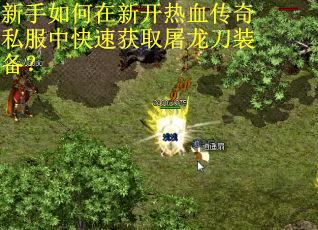 新手如何在新开热血传奇私服中快速获取屠龙刀装备？