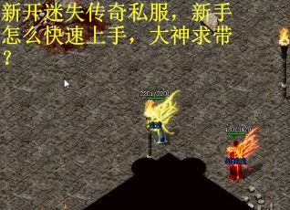 新开迷失传奇私服，新手怎么快速上手，大神求带？