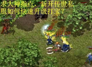 求大神指点，新开传世私服如何快速升级打宝？