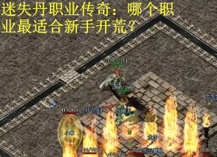 迷失丹职业传奇：哪个职业最适合新手开荒？