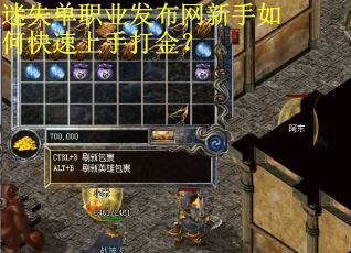 迷失单职业发布网新手如何快速上手打金？