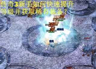 传奇3新手如何快速提升等级并获取稀有装备？