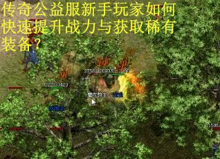 传奇公益服新手玩家如何快速提升战力与获取稀有装备？