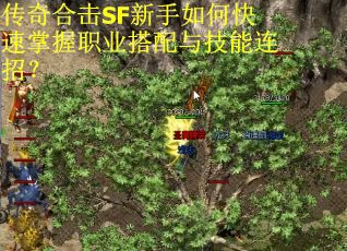 传奇合击SF新手如何快速掌握职业搭配与技能连招？