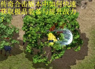 传奇合击版本中如何快速获取极品装备与提升战力？