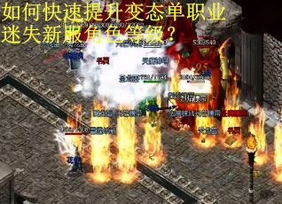 如何快速提升变态单职业迷失新服角色等级？