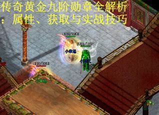 传奇黄金九阶勋章全解析：属性、获取与实战技巧
